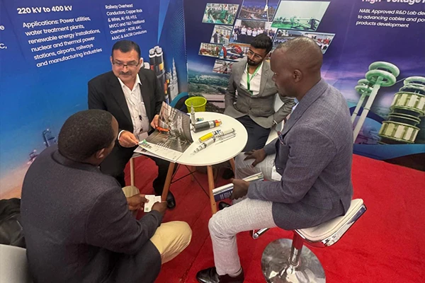 Green Energy Future of Africa and India